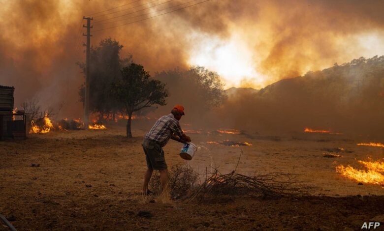 Photo of 34 ضحية نتيجة الحرائق المنتشرة في الجزائر