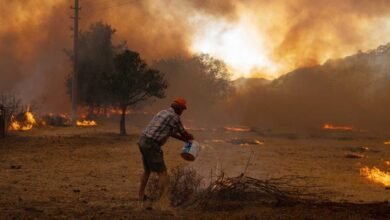 34 ضحية نتيجة الحرائق المنتشرة في الجزائر